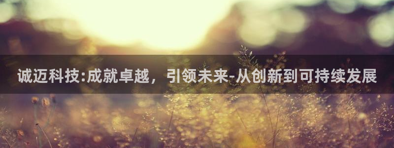 诚迈科技:成就卓越，引领未来-从创新到可持续发展
