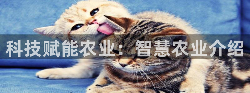 科技赋能农业：智慧农业介绍