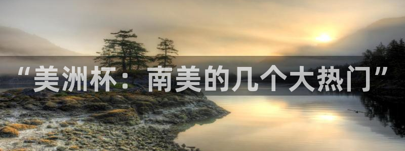 “美洲杯：南美的几个大热门”