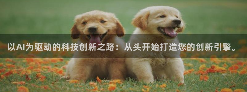 以AI为驱动的科技创新之路：从头开始打造您的创新引擎。